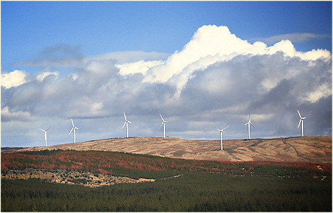 Windfarm / Farma wiatrowa